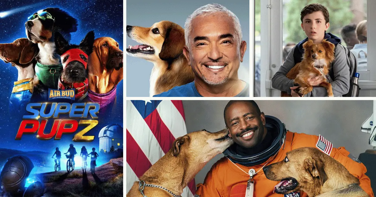 Best TV Series for Dogs: Must-Watch Shows for Your Furry Friend!